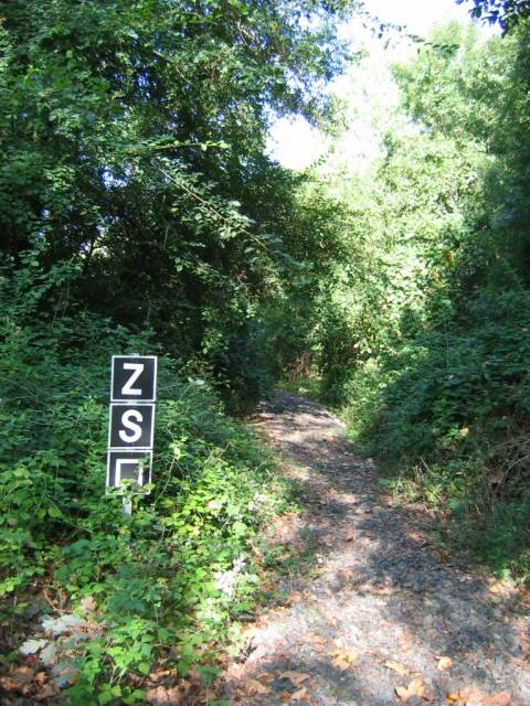 20090814 Direction de l'ancien Terminus, après dépose des rails